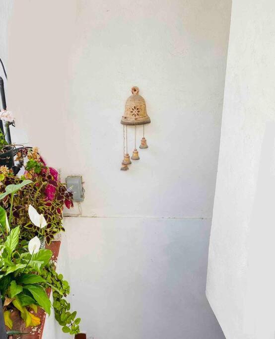 Ferienwohnung Bonito Y Comodo Departamento En Taxco! Exterior foto
